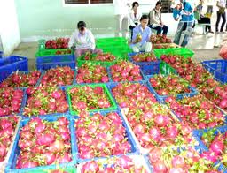 เวียดนามได้เปรียบดุลย์การค้า๑๔๓ล้านเหรียญสหรัฐ